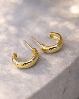 Naušnice PINTA x gold plated